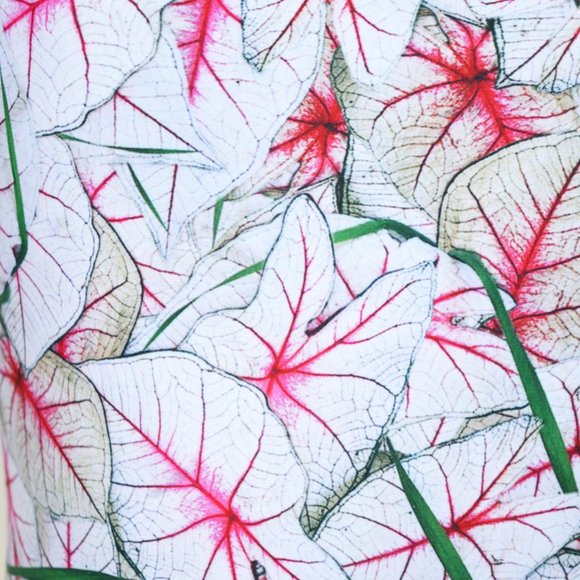 New York City Calcadium One Piece Swimsuit - Picture 13 of 14